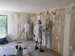 Best Real Estate Mold Inspection  in Glen Ellyn, IL